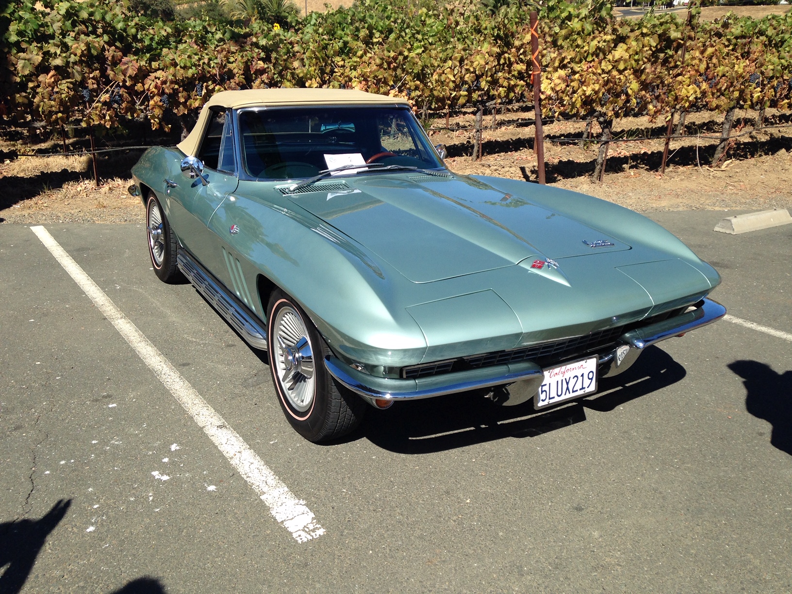 Gary & Angela's 1966 Convertible