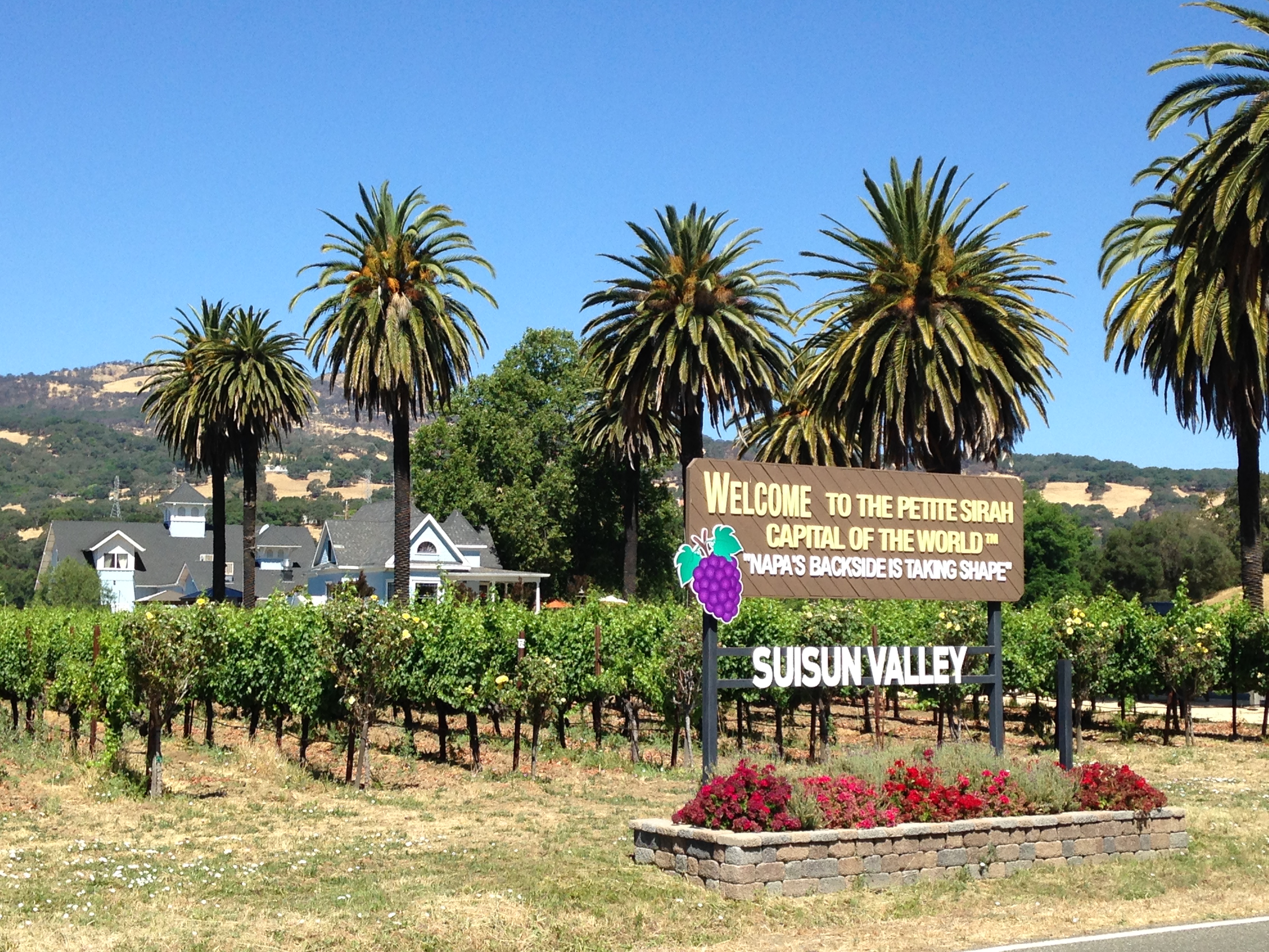 Fezer  Winery, located in the Suisun Valley, was the site of our 20th Anniversary Celebration