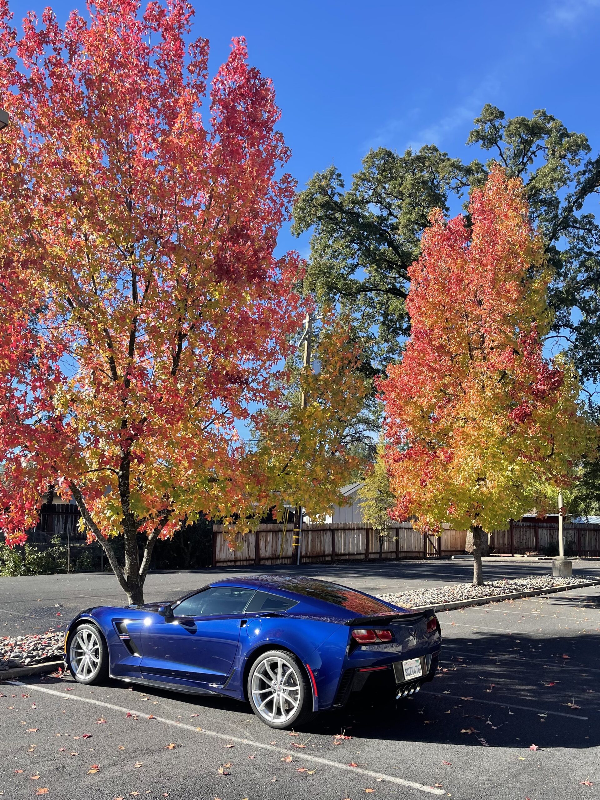 Rob & Sherry's 2018 Coupe